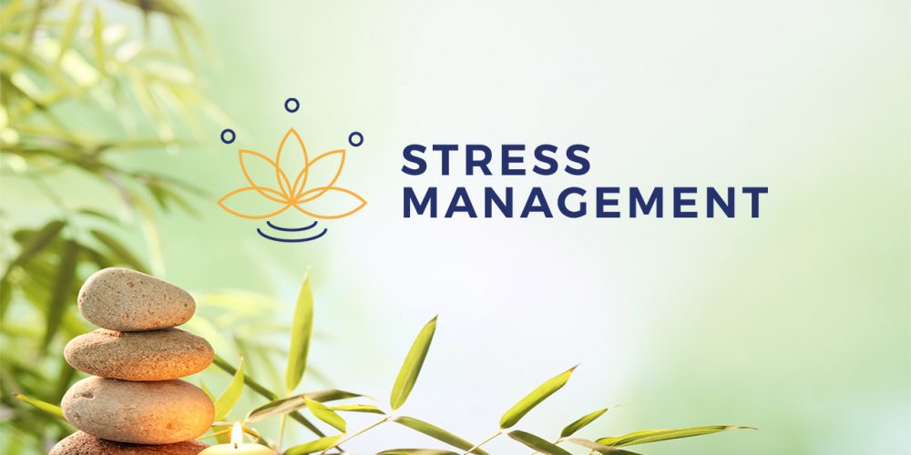 Stress Learning cover Stress Learning cover
